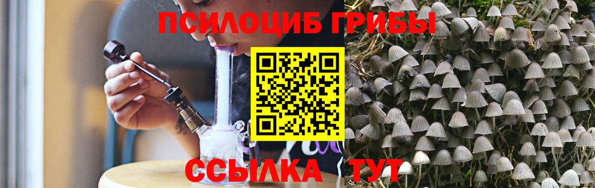 Альметьевск  Галлюциногенные грибы Psilocybe  Вход с VPN 