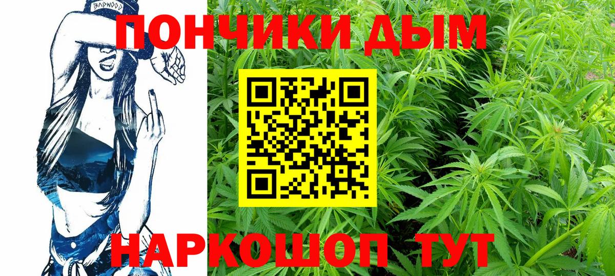 Бошки Шишки гибрид Альметьевск